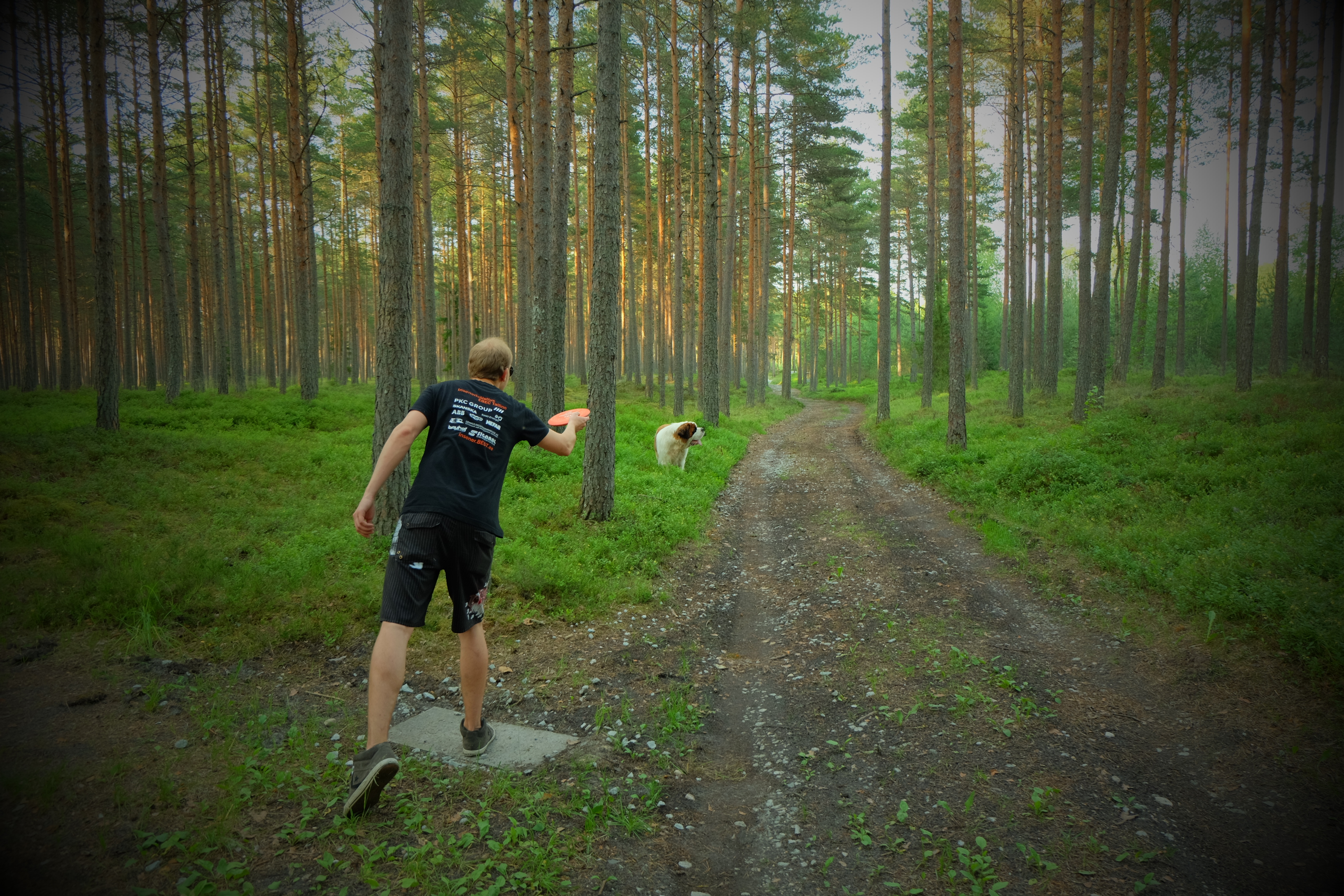 discgolf in Padise. Adventure farm Disc golf has 18 baskets. visiting territory 5€ / per person