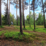 DiscGolf discgolfi park lendtaldriku golf inimene Disc-golf Elamustalu tegevus aktiivne puhkus Kallaste Turismitalu Padisel ärksa hingega talu Harjumaal www.kallastetalu.ee mets