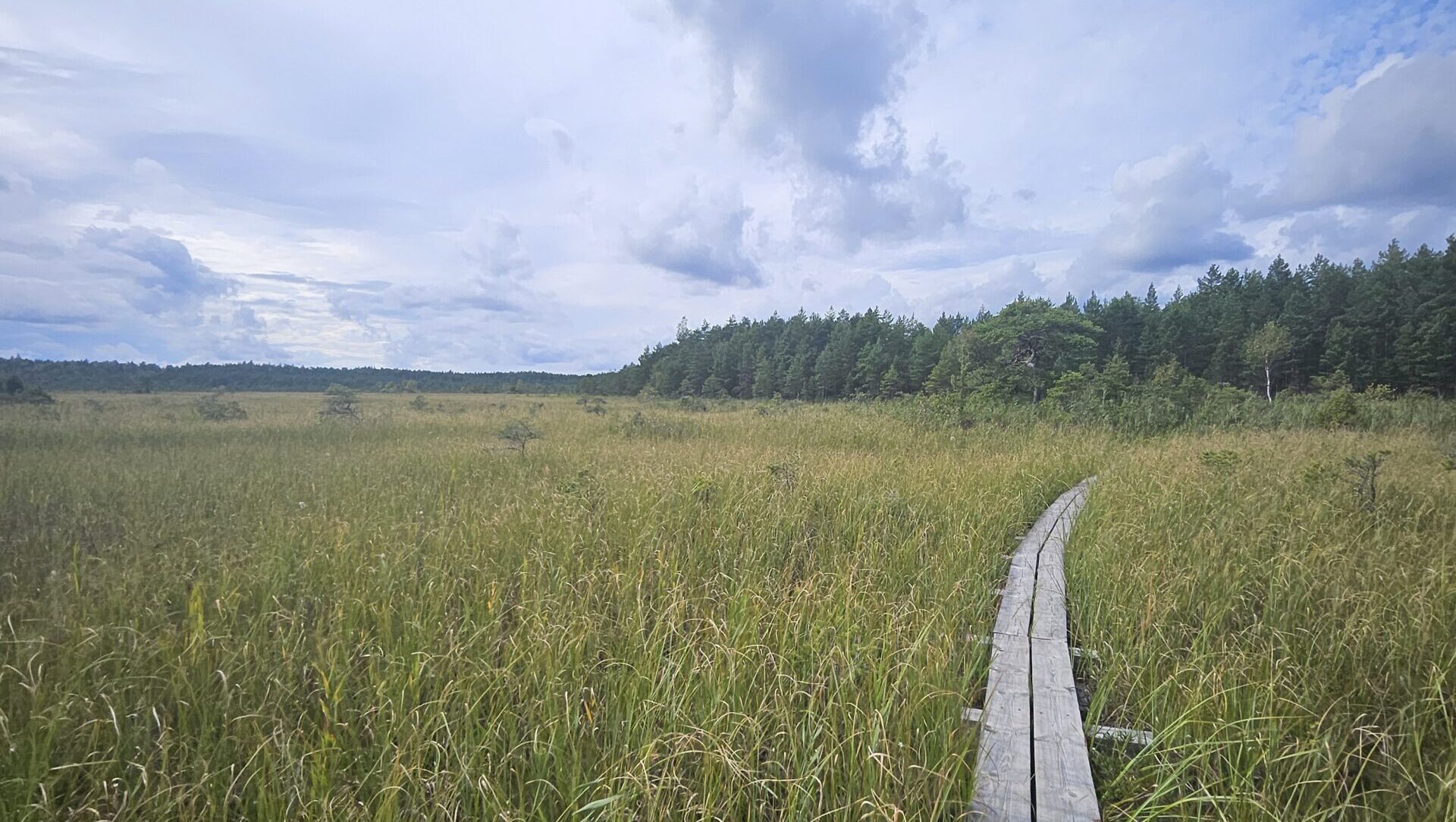 Valgejärve loodusõpperada matkarada Kallaste Turismitalu lähedal