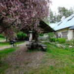 Hoovimaja majutus maja välisvaade – reception, laenutus, pood ja ülemine kompleks Kallaste Turismitalus, Padisel, Harjumaal.