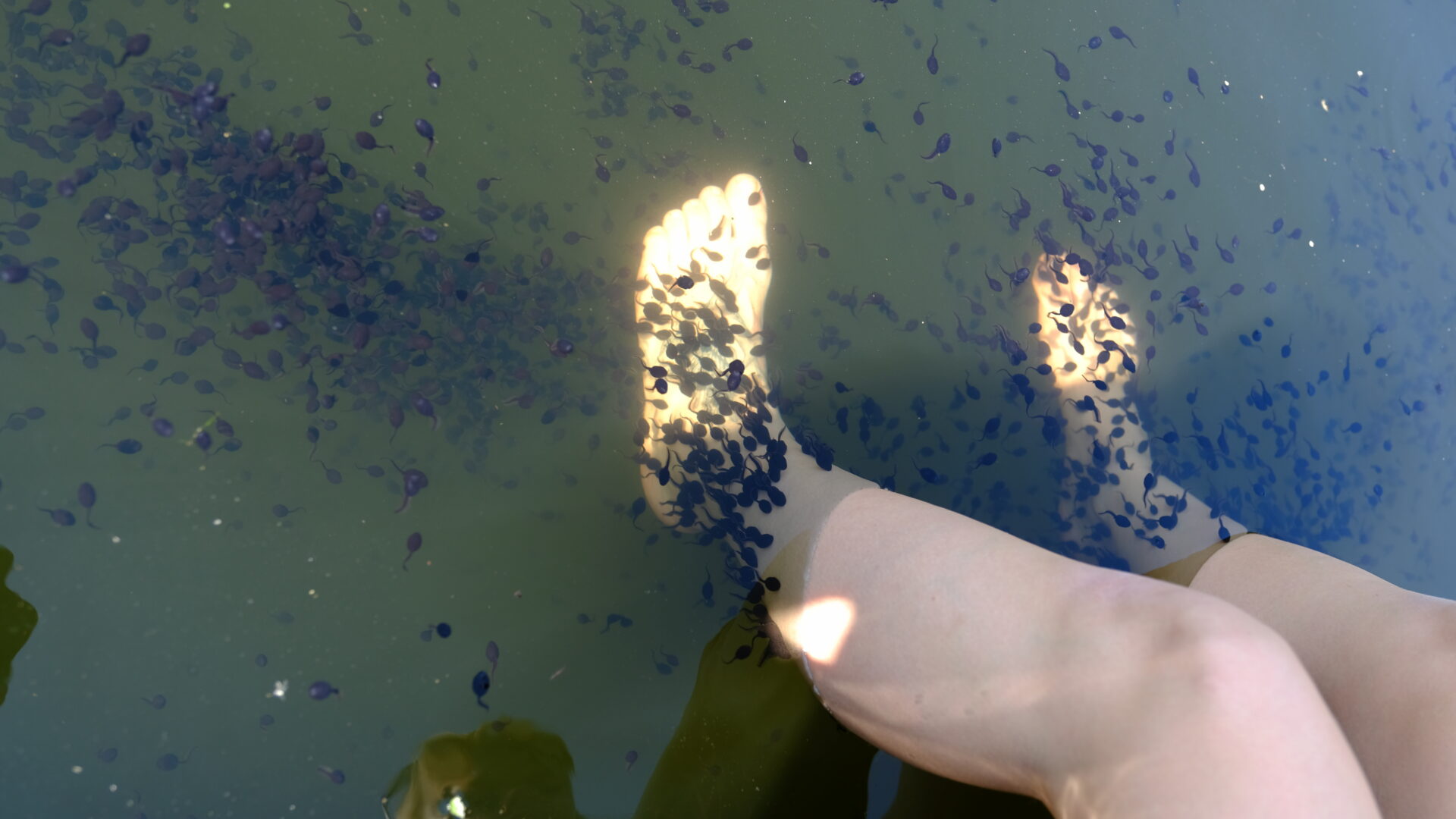 Tule Kullese SPA-sse ja naudi ainulaadset looduslikku hoolitsust – väikesed kullesed aitavad su nahal muutuda siidiselt pehmeks. Lõõgastu, tee head ja lase loodusel enda eest hoolitseda!