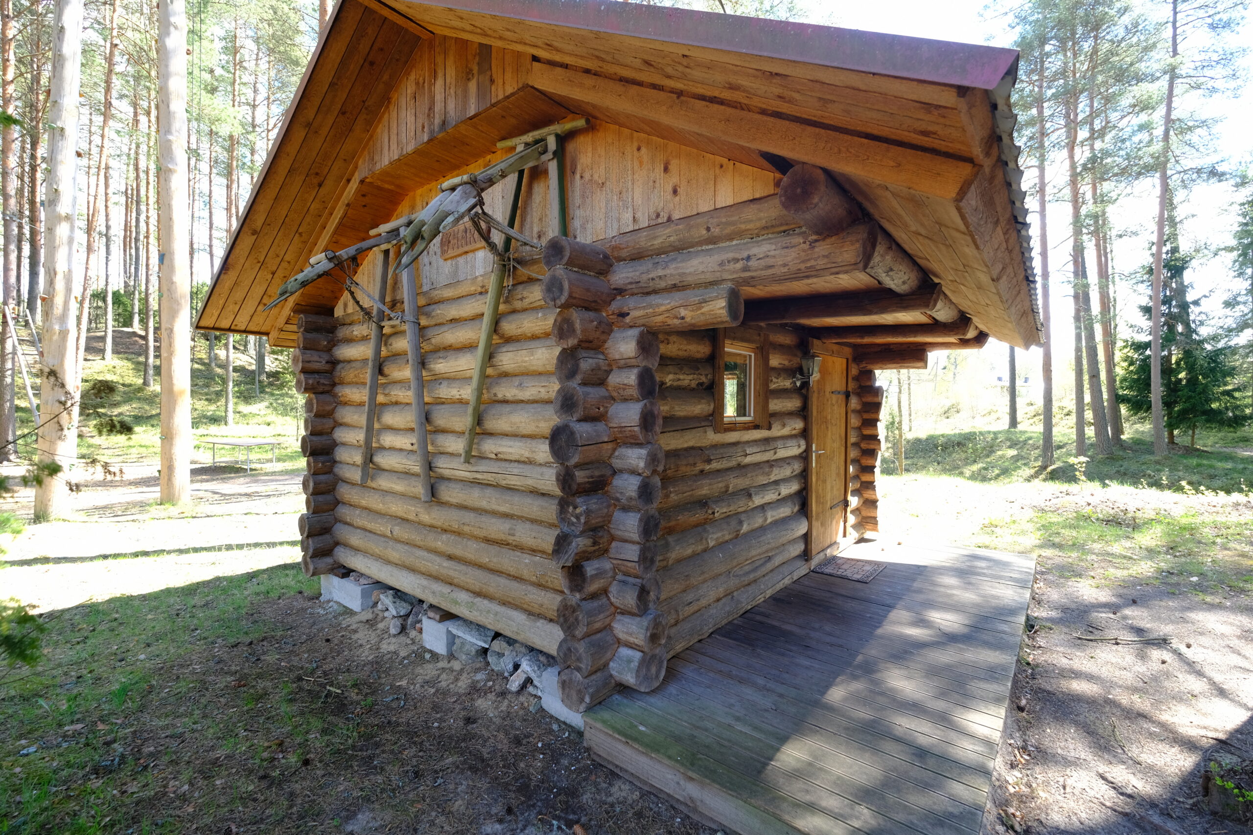 Tareke Mari majutus kevadine välisvaade männimetsas – rahulik ja looduslähedane puhkemaja Kallaste Turismitalus.