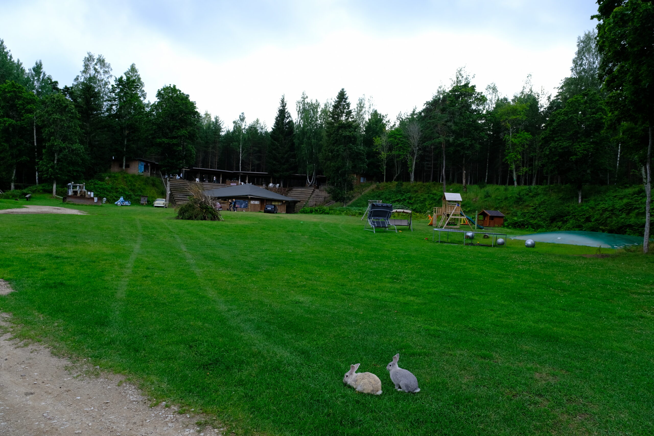 telkimine looduses telkimisplats Kallaste turismitalus Harjumaal jänesed jänes kalju-lava batuut mänguväljak lõkkeplats loom loomapark taluloomad elamustalu Kloostri jõgi kevad fb Kallaste Turismitalu Padisel ärksa hingega talu Harjumaal www.kallastetalu.ee