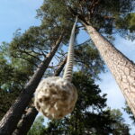 Köis-kiik roni või kiigu Elamustalu - lapsed ja suuremad - Kallaste Turismitalu Harjumaal 2