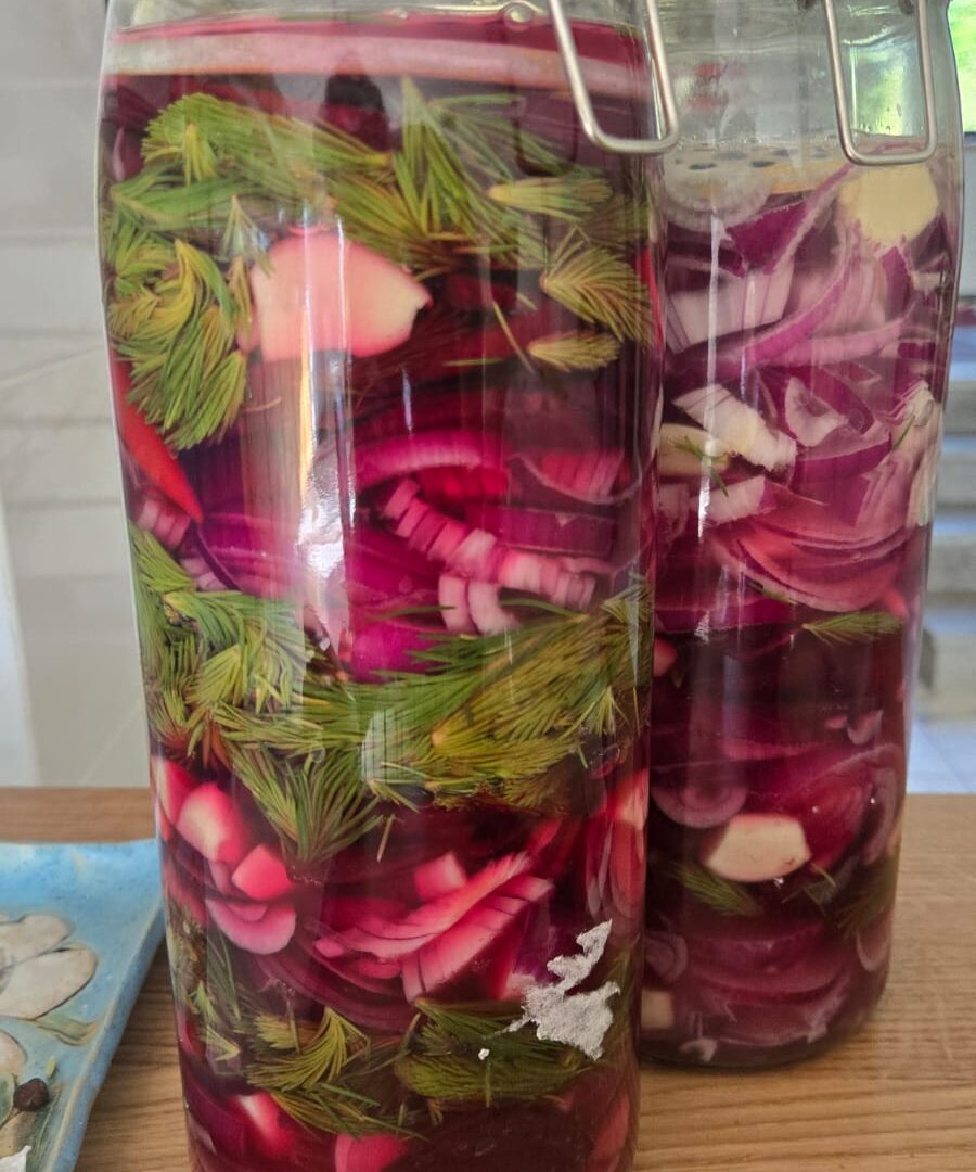 hapendamine . kuidas hapendada -miks on fermenteeritud toit kasulik - mikrobioomi supertoit