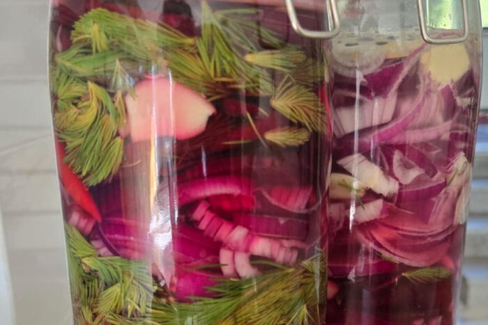 hapendamine . kuidas hapendada -miks on fermenteeritud toit kasulik - mikrobioomi supertoit