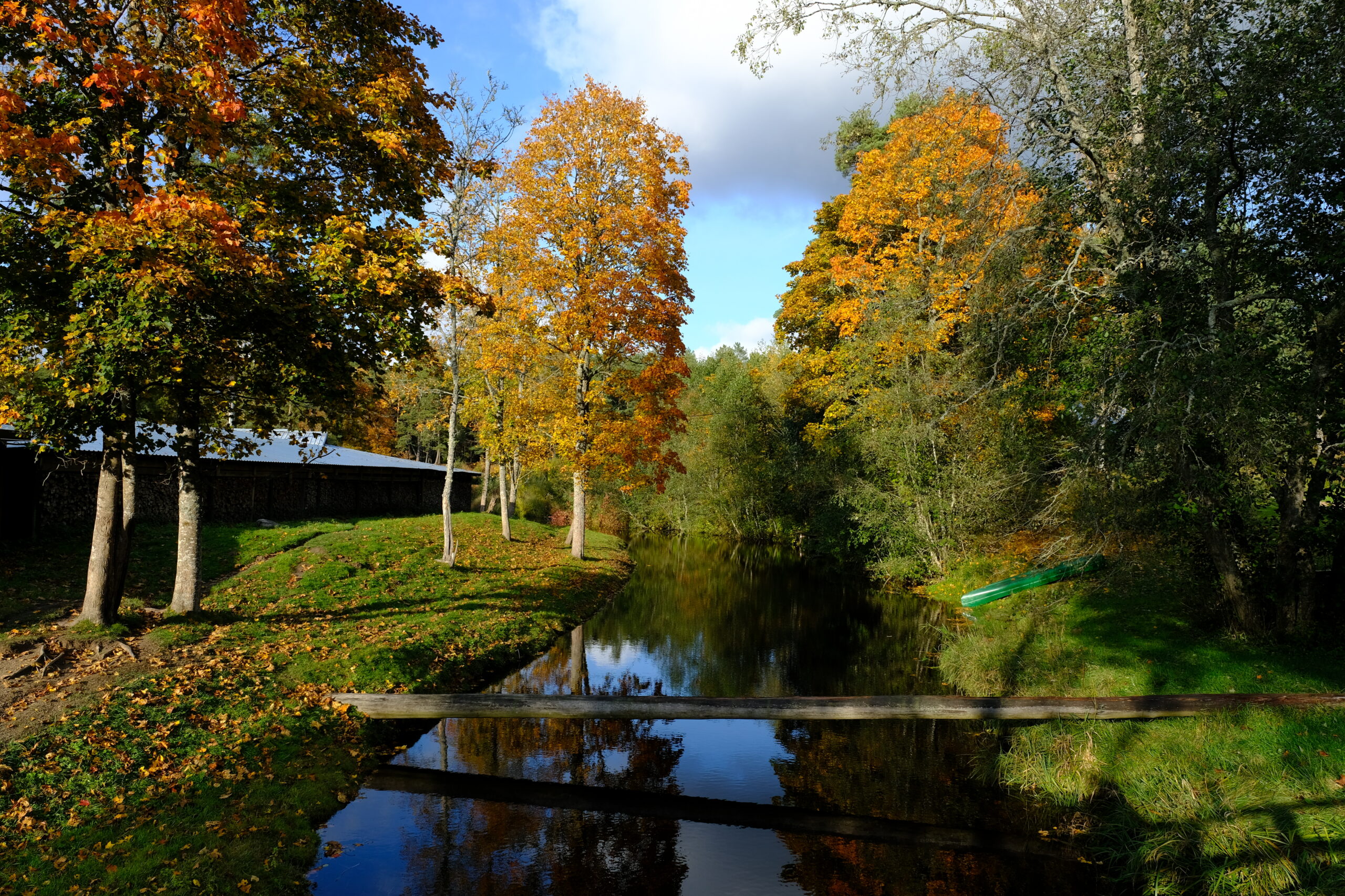 Sügis – soojad elamused karges looduses Kallaste Turismitalu Ärksa hingega talu Harjumaal - seminariruumid, tiimiüritused, väljasõit, lastele ja peredele, lasteaaia väljasõit, ettevõtte