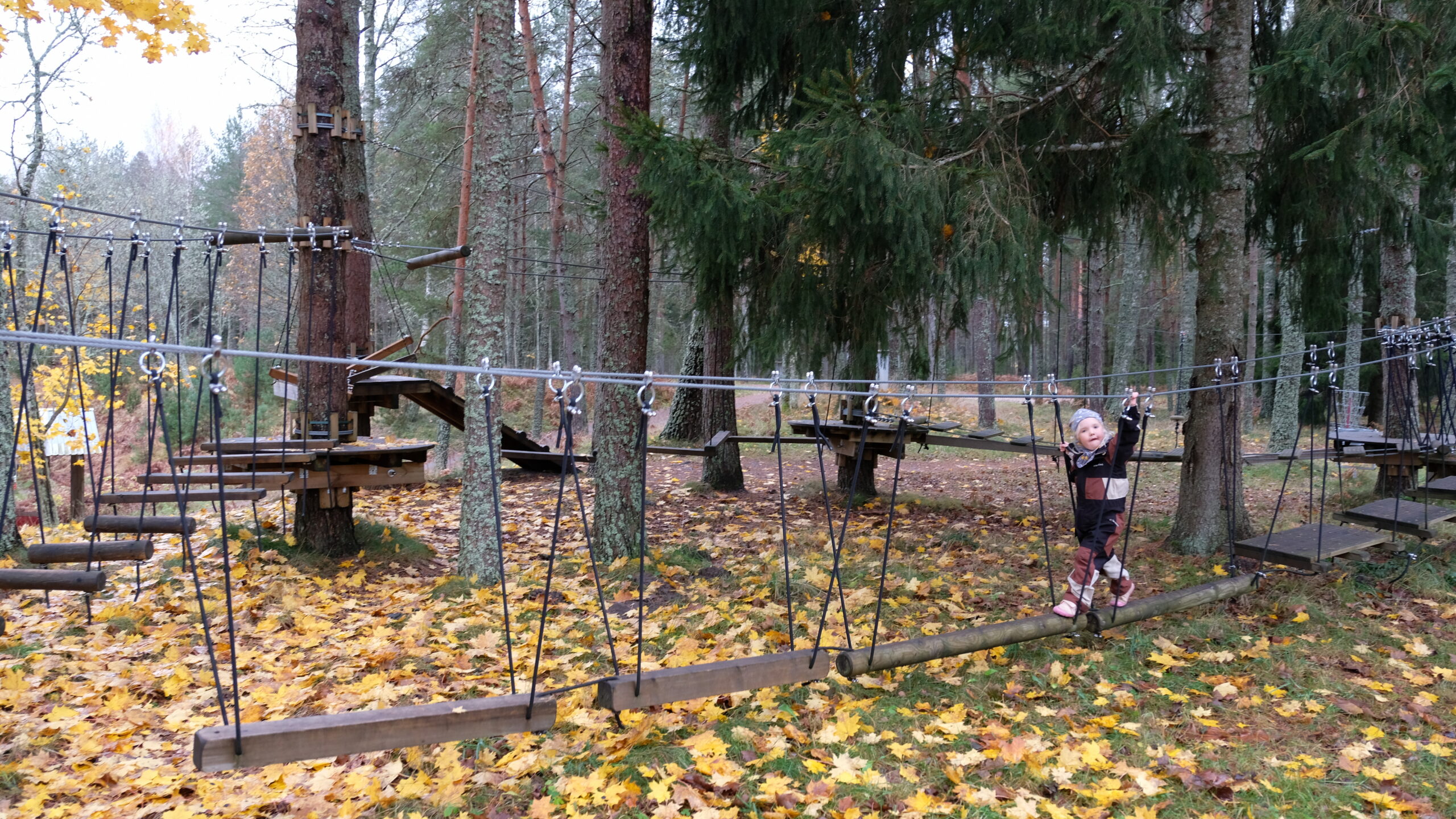 Kallaste Turismitalu peamaja sügis talv päike 2025 puhkemajad seminariruumid peoruumid peoruum koosoleku saal puhkus maal ja metsas ronila madalseiklusrada elamustalu