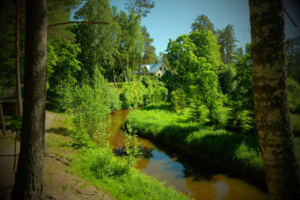 peamaja ja roheline loodus ning Kloostri jõgi Holiday resort in Padise, Harjumaa - only 45 km from Tallinn www.kallastetalu.ee Kallaste Turismitalu OÜ - metsapuhkus kauni looduse keskel - accommoda
